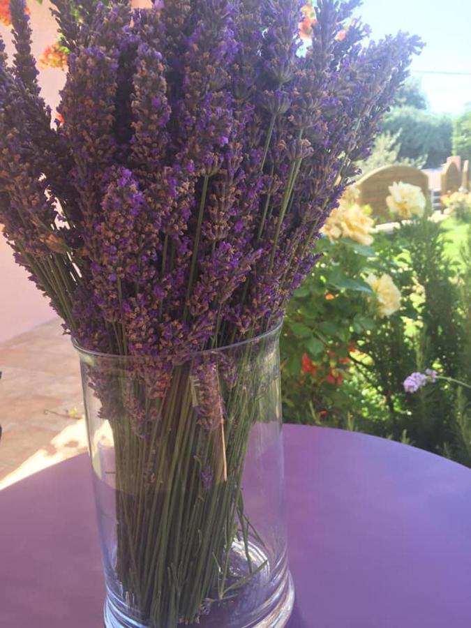 Chambre D'Hotes Vaucluse โบลแลน ภายนอก รูปภาพ