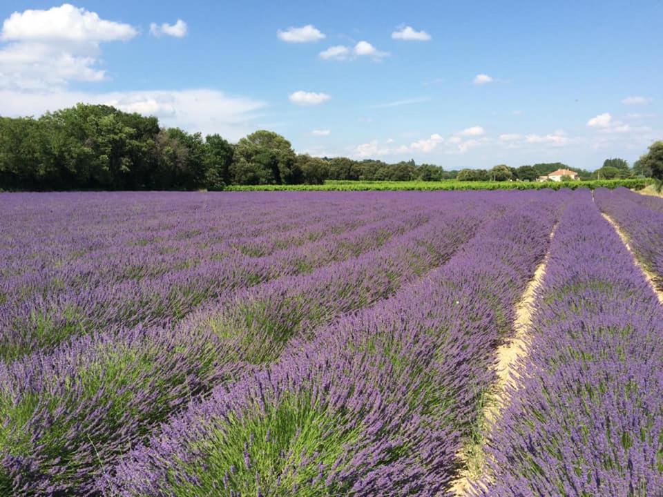 Chambre D'Hotes Vaucluse โบลแลน ภายนอก รูปภาพ