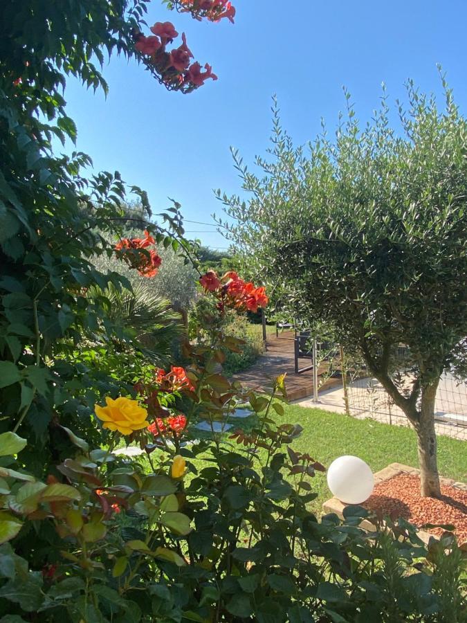 Chambre D'Hotes Vaucluse โบลแลน ภายนอก รูปภาพ
