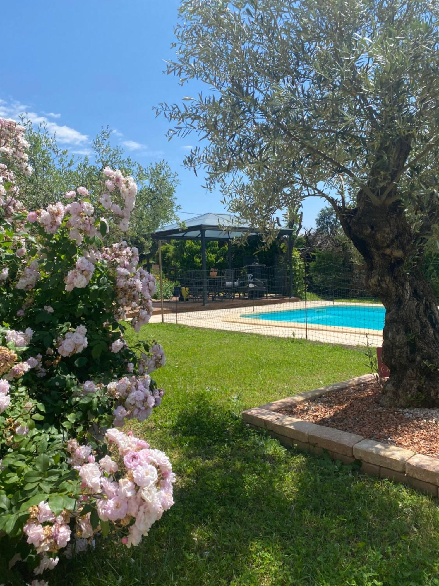 Chambre D'Hotes Vaucluse โบลแลน ภายนอก รูปภาพ